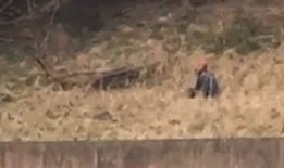 宁波老虎咬人视频全程