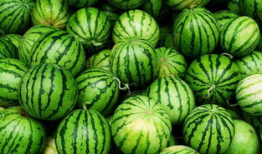 南宁吃瓜爆料是真的吗,真相揭秘，是真是假？